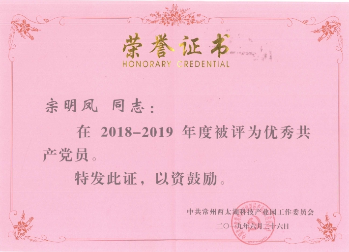 熱烈祝賀我司宗明鳳同志獲“2018-2019年度優秀黨員”榮譽稱號