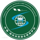 合作客戶